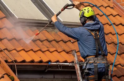 Démoussage et hydrofuge de toiture à Sainte-Thérence